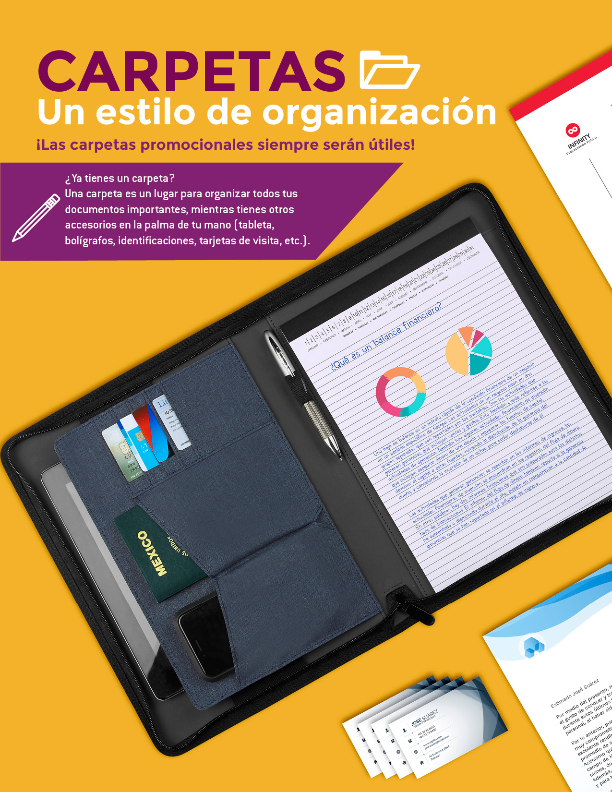 Carpeta Ejecutiva